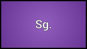 SG Meaning in Text: Definition & Slang Internet Explained