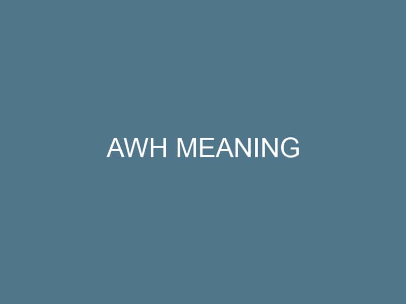 Awh Meaning in Text | Slang Definition and Real Chat Uses