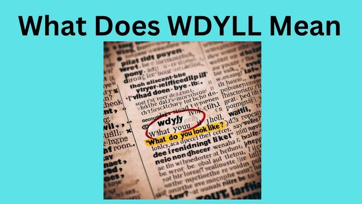 Wdyll Meaning in Text & Social Media: Quick Guide & Examples