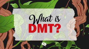 DMT Meaning in Text – Common Uses and Slang Definitions