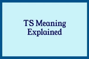 TS Meaning in Text From a Girl: Definition, Origin and Uses