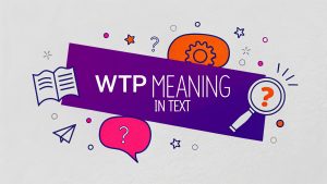 WTP Meaning in Text