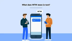 WTW Meaning in Text From a Guy: Great Responses and Guide
