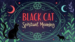 Black Cat Spiritual Meaning