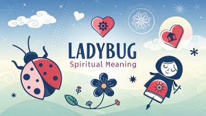 Ladybug Spiritual Meaning