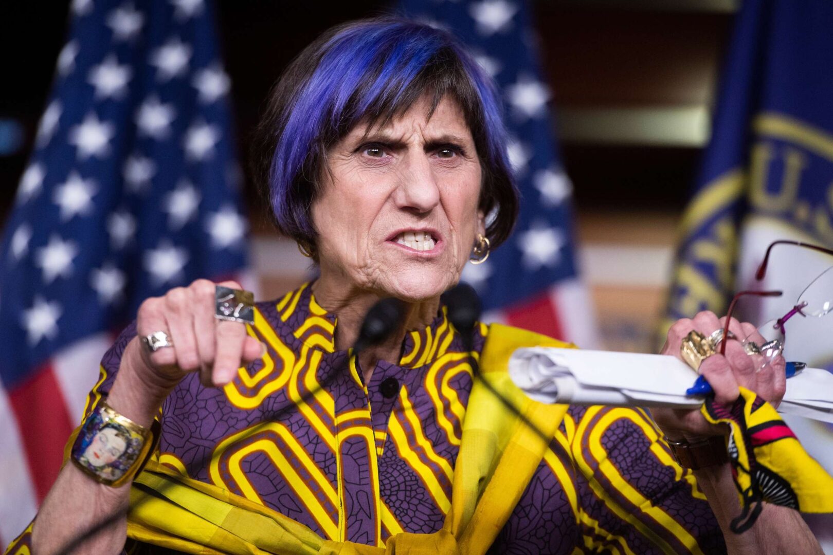 Rosa Delauro Net Worth