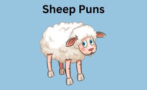 200+ Funny Sheep Puns You Can't Stop Laughing At 2026