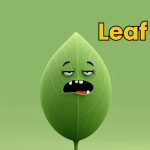 Best 350+ Leaf Jokes That Will Make You Fall for Puns 2026