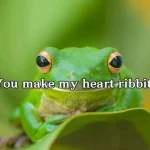 Adorable & Funny 350+ Cute Frog Puns 2026