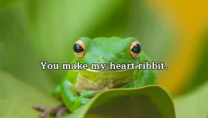 Adorable & Funny 350+ Cute Frog Puns 2026