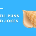Short & Funny 200+ Shell Jokes for Everyone 2026