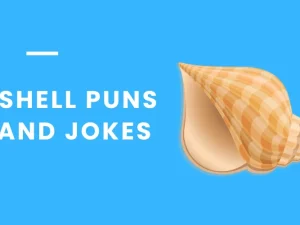 Short & Funny 200+ Shell Jokes for Everyone 2026