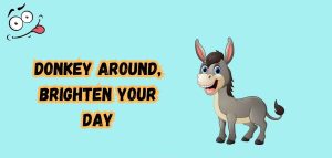 100+ Funny Donkey Pun That Will Make You Bray 2026