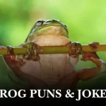 100+ Frog Pun: Cute and Clever Jokes You'll Love 2026