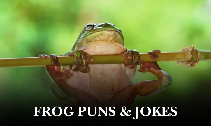 100+ Frog Pun: Cute and Clever Jokes You'll Love 2026