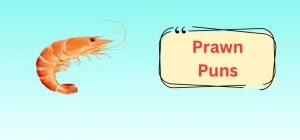 Best 250+ Funny Prawn Jokes That Will Make You Laugh Out Loud 2026