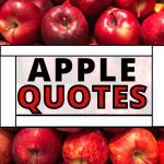 150+ Apple Quotes Funny That Are Too Relatable 2026