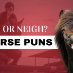 Best 100+ Short, Funny & Creative Horse Puns 2026