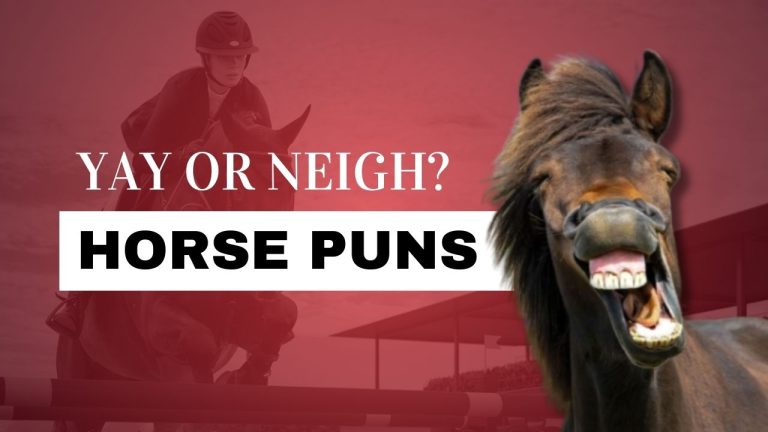 Best 100+ Short, Funny & Creative Horse Puns 2026