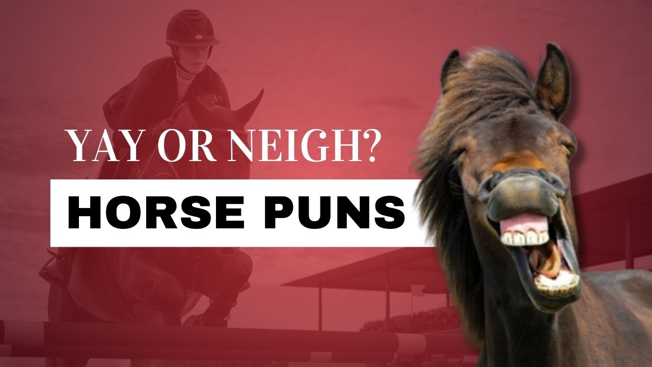Best 100+ Short, Funny & Creative Horse Puns 2026
