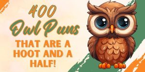 Best 400+ Owl Puns One Liners That Are Hootingly Funny 2026