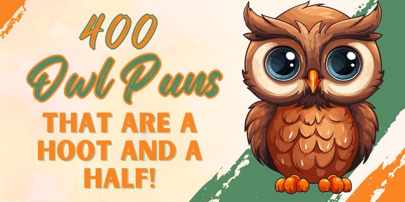 Best 400+ Owl Puns One Liners That Are Hootingly Funny 2026