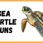 Best 300+ Sea Turtle Puns That Are Totally Shell-tastic 2026