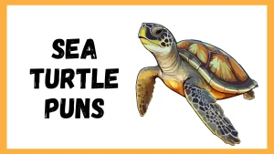 Best 300+ Sea Turtle Puns That Are Totally Shell-tastic 2026
