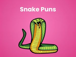 500+ Snake Puns One Liners That Will Hiss-terically Amaze 2026