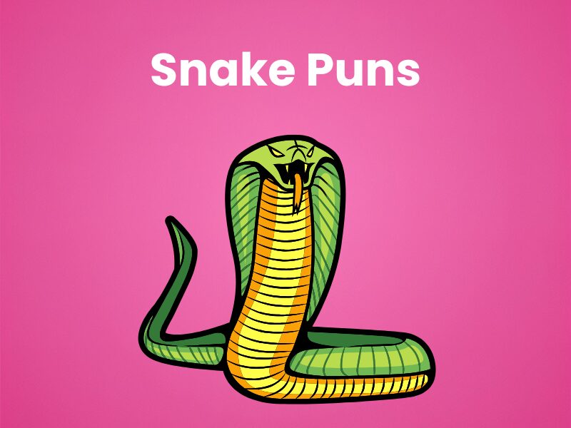 500+ Snake Puns One Liners That Will Hiss-terically Amaze 2026