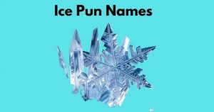Best Ice Pun Names for Instagram, Games & Fun 2026