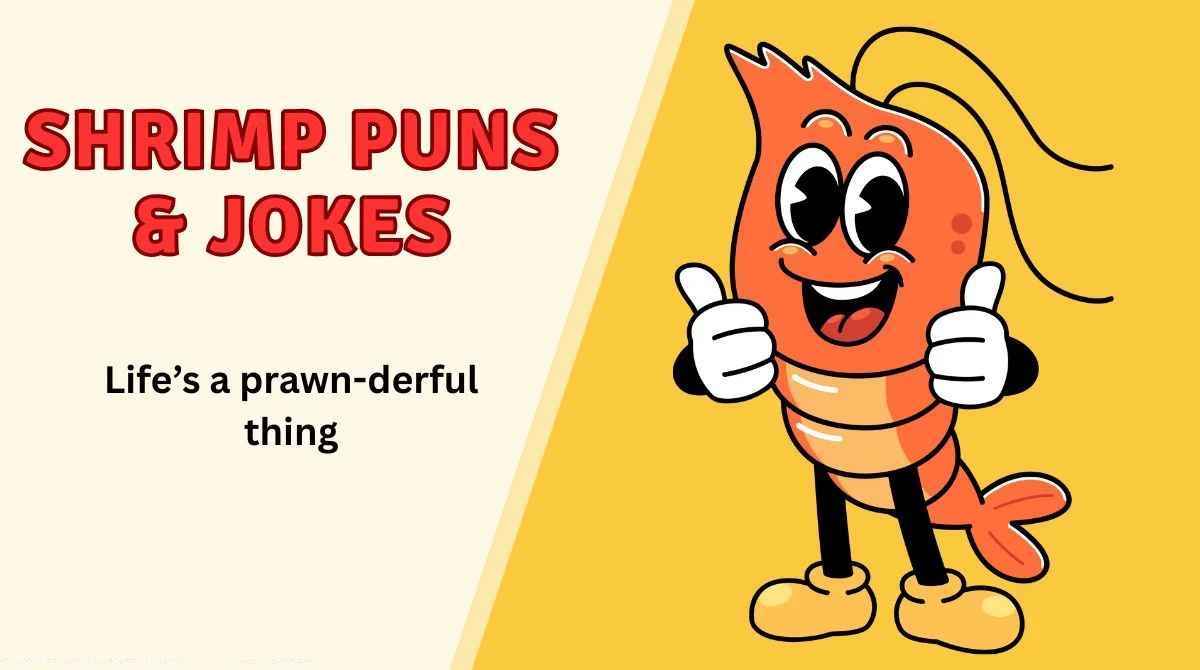 Best 400+ Funny Shrimp Jokes That Are Totally Shellfish 2026