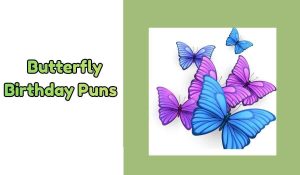 Best 400+ Hilarious Butterfly Birthday Puns for Cards 2026