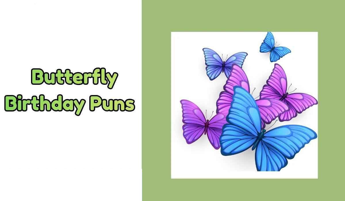 Best 400+ Hilarious Butterfly Birthday Puns for Cards 2026