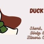 Best 250+ Funny Duck Puns That Are Egg-stra Hilarious 2026