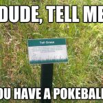 100+ Funny Grass Memes That Will Crack You Up 2026