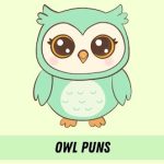 Best 220+ Cute Owl Puns That Are Too Adorable 2026