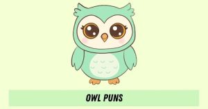 Best 220+ Cute Owl Puns That Are Too Adorable 2026