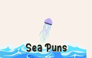 240+ Sea Puns That Are Totally Shore Funny 2026