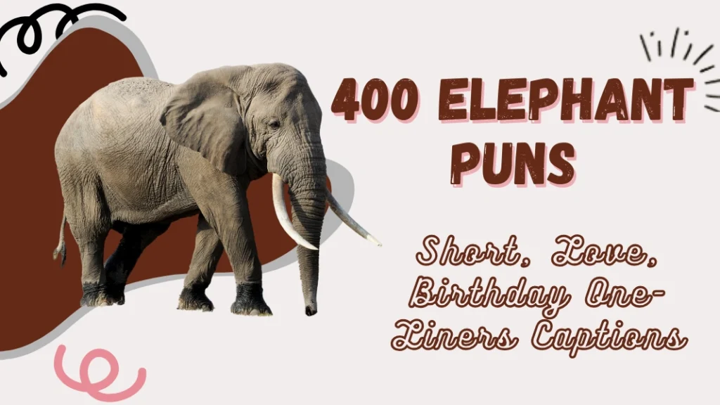 Best 260+ Elephant Puns Captions That Never Forget Humor 2026