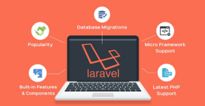 Where can I find professional Laravel Developers online?