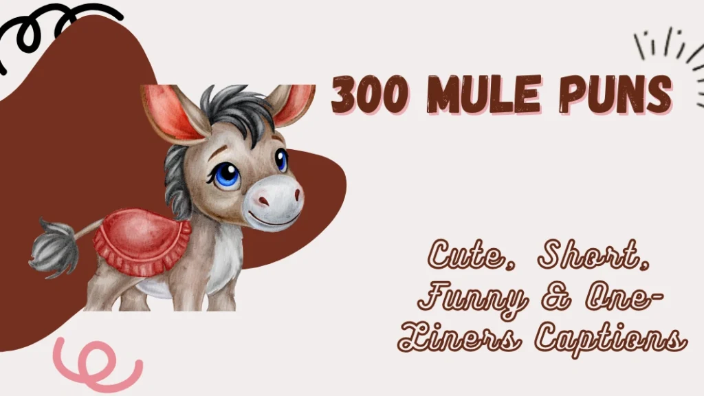 Best 460+ Donkey Captions for Instagram With Attitude 2026