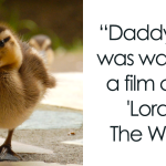 Best 420+ Duck Jokes Puns: Best Quirky Bird Humor 2026