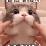 Best 400+ Happy Birthday Puns Meme Jokes for Friends 2026