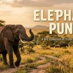 Best 250+ Funny Puns Elephant Jokes That Will Make You Smile 2026