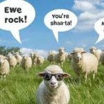 Best 250+ Lamb Puns That Will Crack You Up Instantly 2026