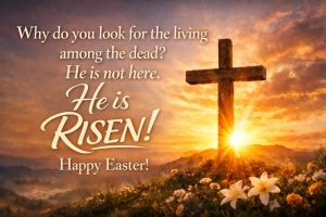 Why Do You Look for the Living Among the Dead? Bible Verse 2026