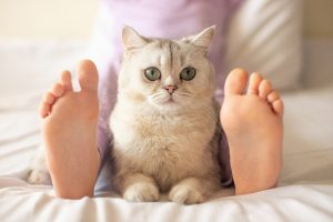 Why Does My Cat Sleep at My Feet? Signs of Trust 2026