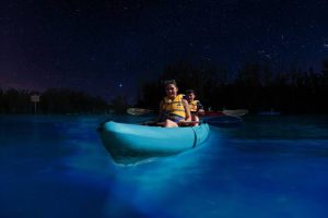 Why Does Cocoa Beach Glow at Night? Bioluminescence 2026