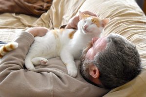 Why Do Cats Lay on Your Chest? Love or Instinct? 2026